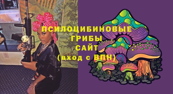 мдма Белокуриха