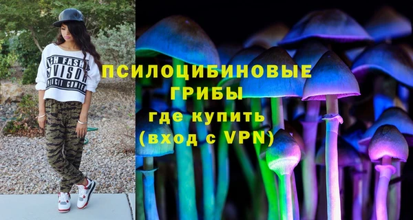 мдма Белокуриха