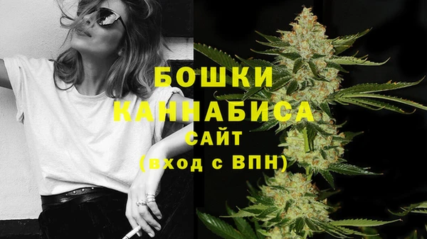 эйфоретик Беломорск