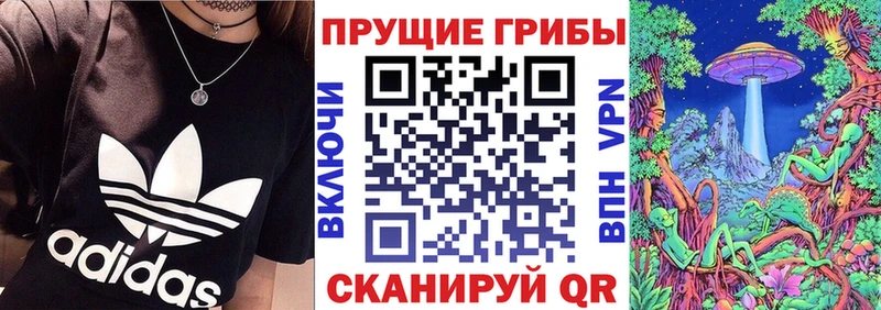Псилоцибиновые грибы Psilocybine cubensis  закладки  Ворсма 
